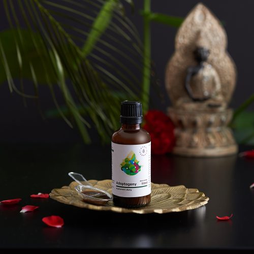 Adaptogeny - naturalne ekstrakty roślinne, 50 ml
