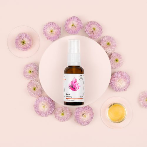 Kwas Foliowy (Witamina B9) aerozol 30 ml