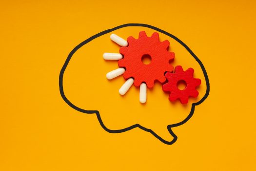 Psychobiotyki w kapsułkach Lactobacillus rhamnosus wspierają zdrowie psychiczne