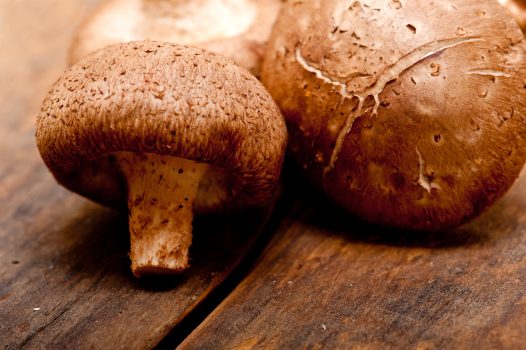 Grzyby shiitake zwane twardnikiem japońskim wzmacniają odporność i układ krwionośny