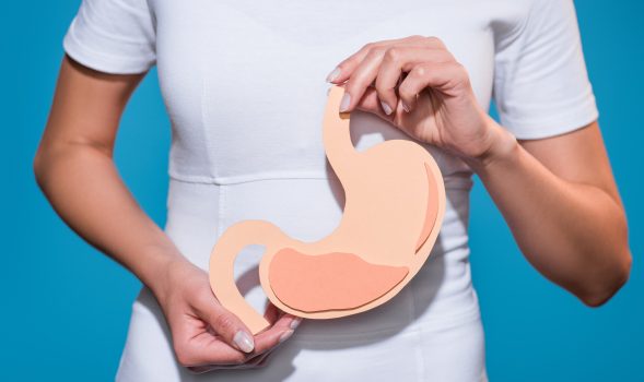 cropped shot of woman holding paper crafted stomach in hands on blue background