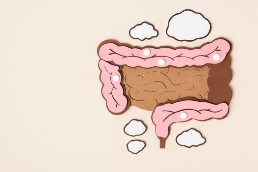 wizualizacja jelit z diagnozą sibo
