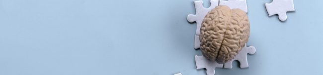 Sztuczny mózg ułożony na puzzlach symbolizujący pamięć i koncentrację