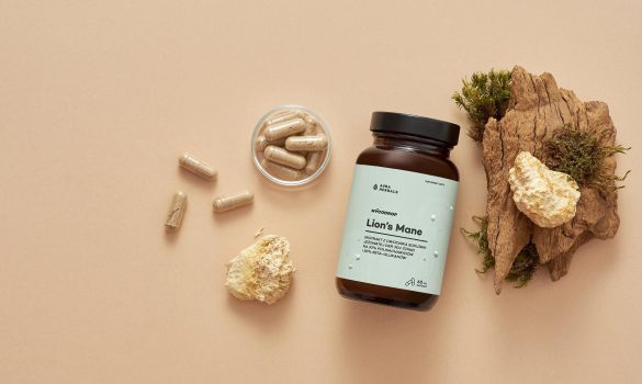 Suplement diety soplówka jeżowata - działanie neuroprotekcyjne i immunomodulujące