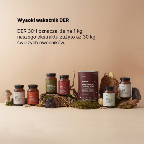 Mycodrop, Cordyceps 30:1 + B12, 30% beta-glukan, kapsułki 60 szt.