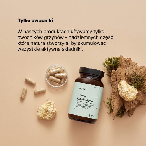 Mycodrop, Lion's Mane 30:1, 30% beta-glukan, kapsułki 60 szt.