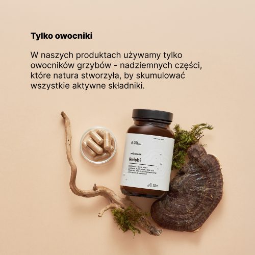 Mycodrop, Reishi 30:1, 30% beta-glukan, kapsułki 60 szt.