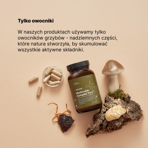 Mycodrop, Mushroom Complex 7 w 1, kapsułki 60 szt.
