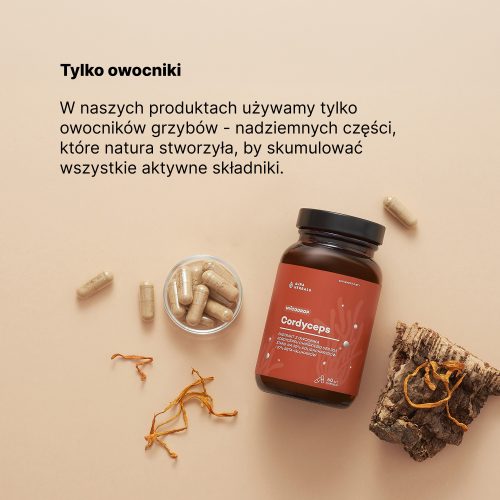Mycodrop, Cordyceps 30:1, 30% beta-glukan, kapsułki 60 szt.