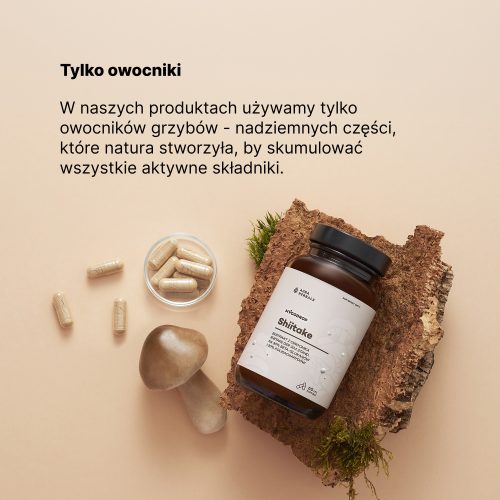 Mycodrop, Shiitake 30:1, 30% beta-glukan, kapsułki 60 szt.